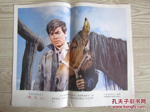怎么买假的马里兰州驾照