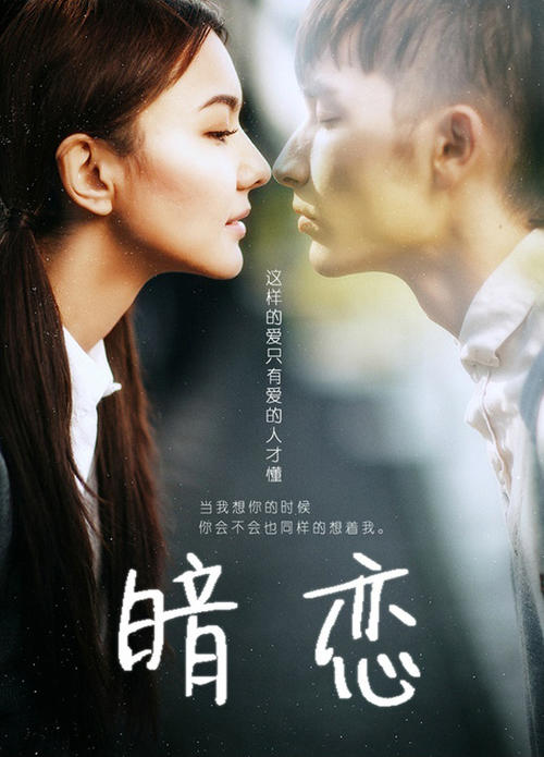 宇都宮大学Diploma in Public Administration
